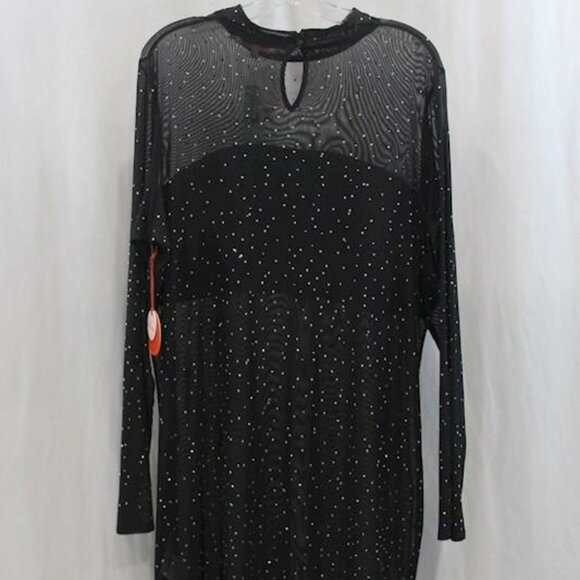 Eva Franco Starlight Long-Sleeve Sheer Tunic - Picture 3 of 6